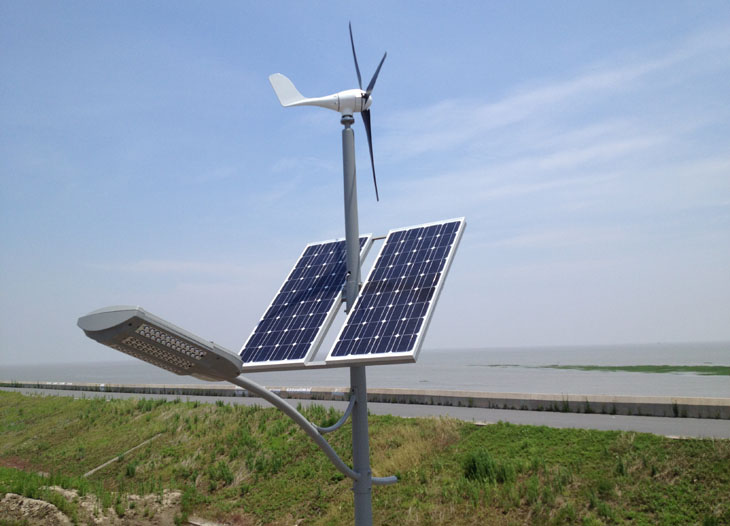 5fd991766eee8.jpg 03.jpg