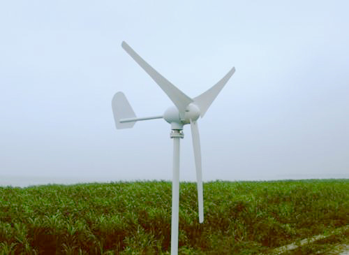 5fe94bbeb605d.jpg 01.jpg