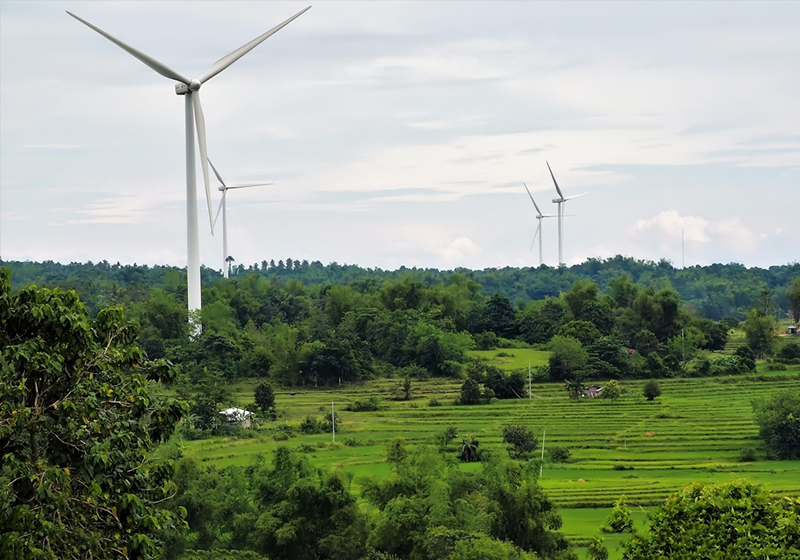 5fffa65f2bf70.jpg 01.jpg